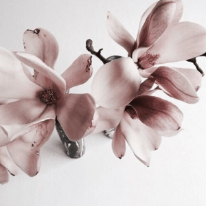 d63da6be image 5.2.png