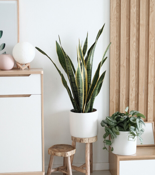 25130a5e image 7.jpg