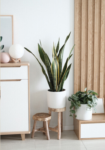 a57200c5 image 1.jpg